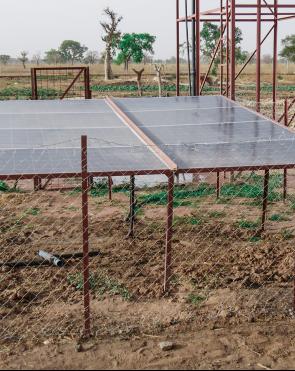 The installation of solar and borehole makes work easy for the women of Sinchu Gundo Garden