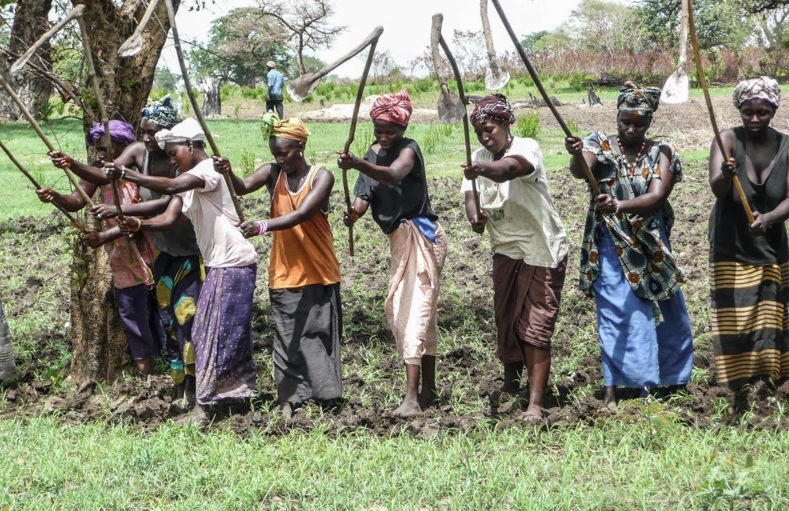 Women farmers in Lower River Region