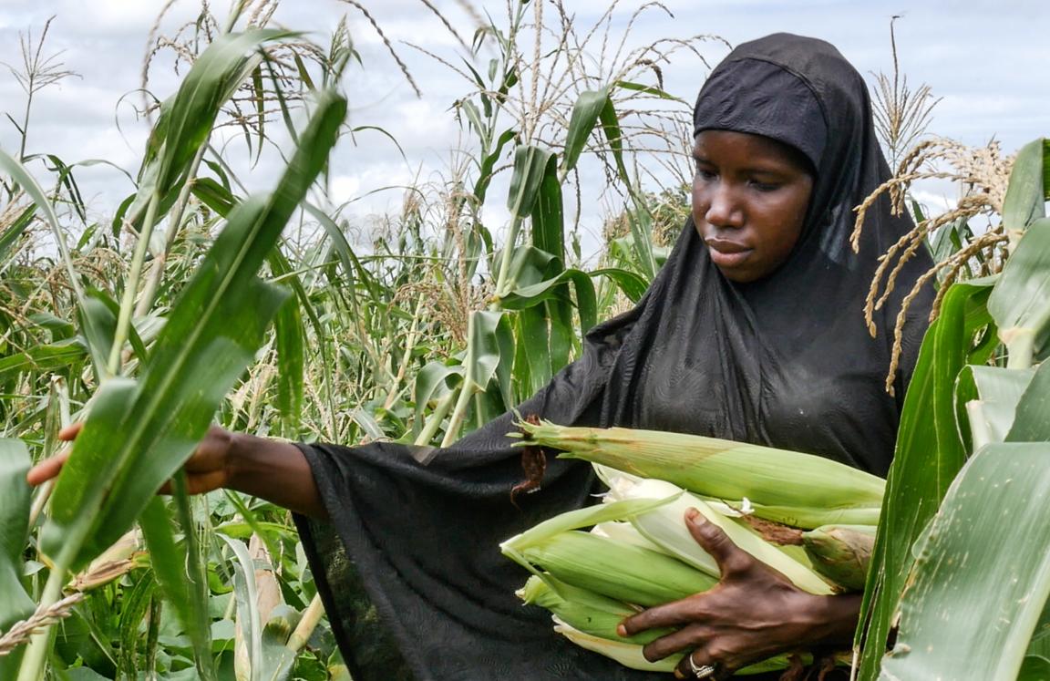 Fanta, a CRSA farmer in Central River Region, The Gambia