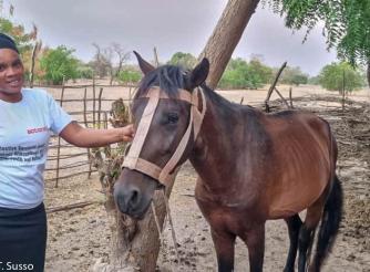 Picture of Awe Jallow and the Horse she bought the proceeds of her sales