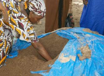 Compost making by women groups in CRR-South of The Gambia