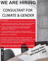 CONSULTANT NEEDED